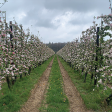 Welcoming Bardsley England to the Group