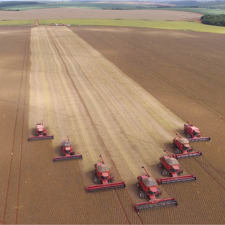 Harvest Time in Brazil
