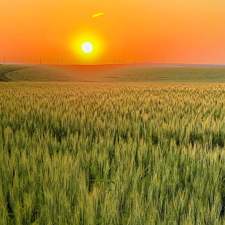 Share price information